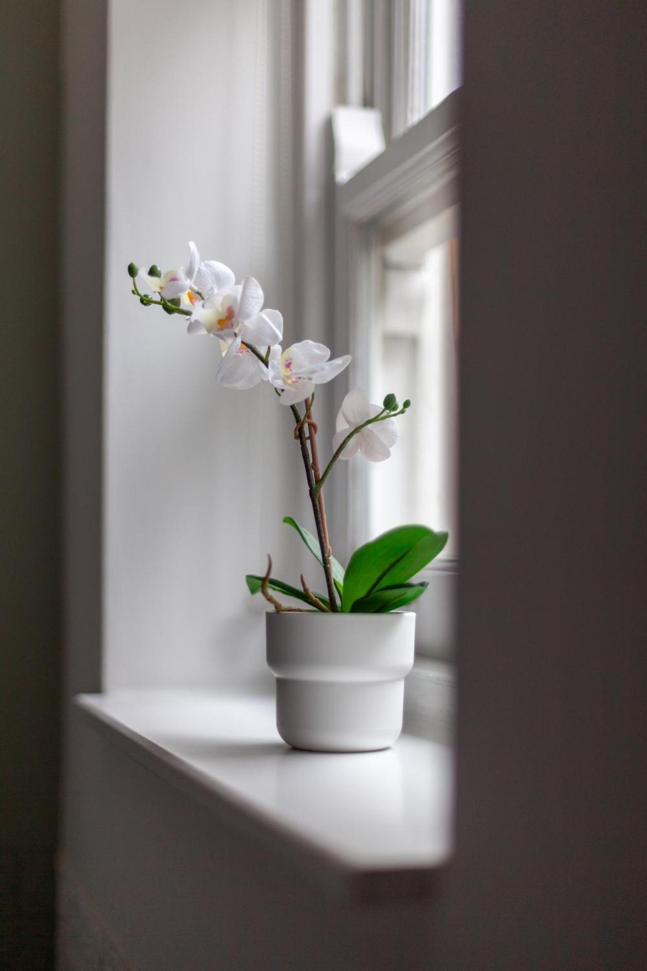 Appartamento The Hackney Luxury Flat Londra Esterno foto